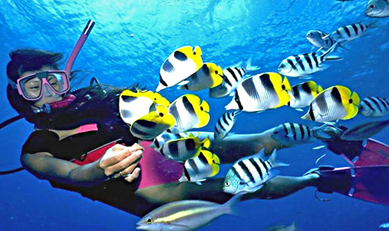 潛水常被問到的幾個問題