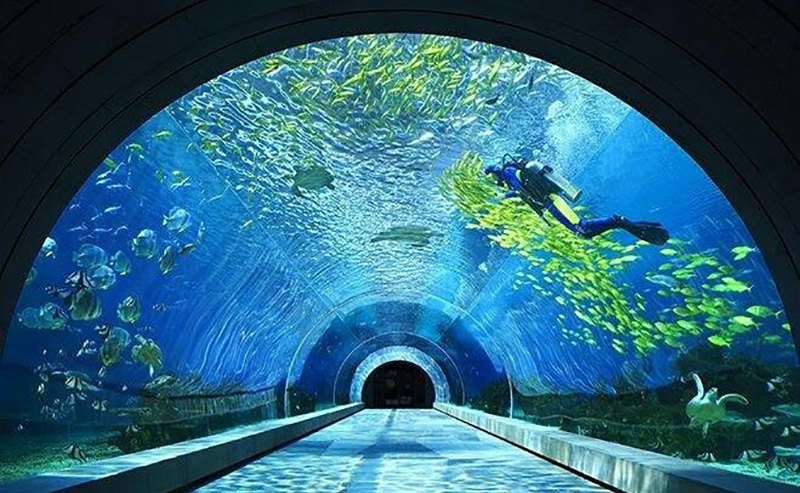 三亞潛水攻略，潛水內(nèi)幕（原文螞蜂窩）