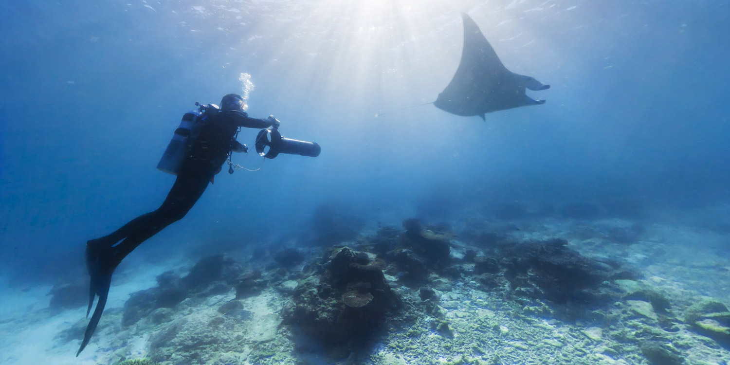 注意，這幾種情況下不能潛水