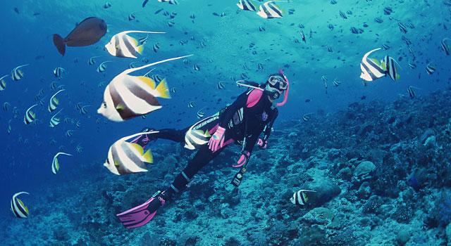 懷孕能潛水嗎？