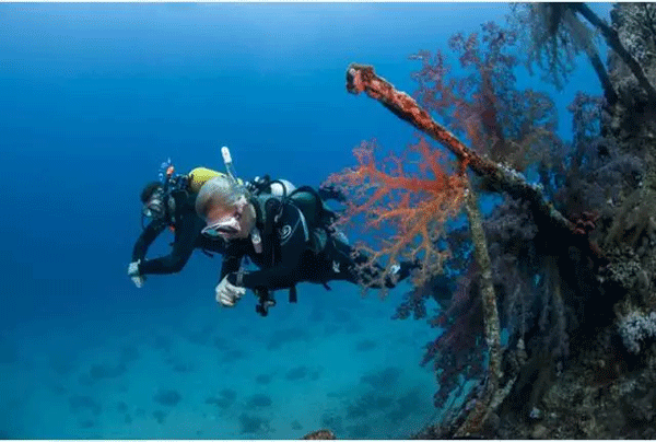 成為潛水員之前的你，是不是也問過這些問題？