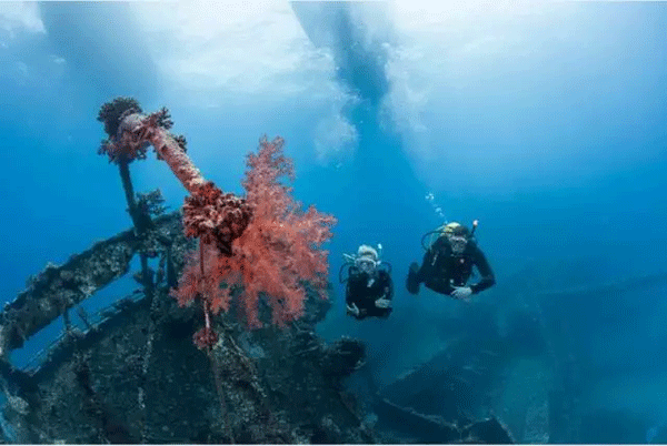 成為潛水員之前的你，是不是也問過這些問題？