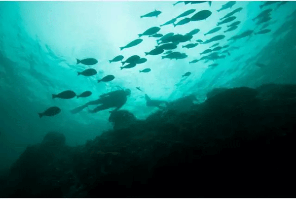 成為潛水員之前的你，是不是也問過這些問題？